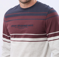 Remera rayada bordada