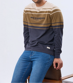 Remera rayada bordada