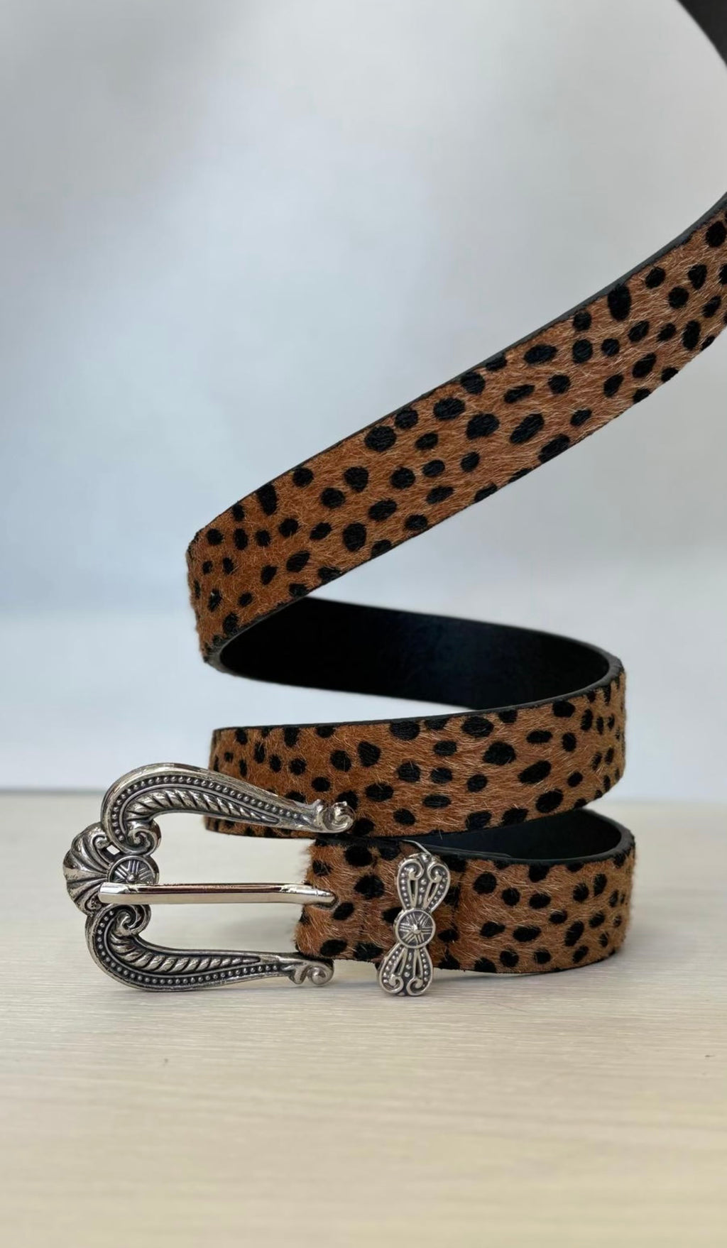 CINTO CHEETA